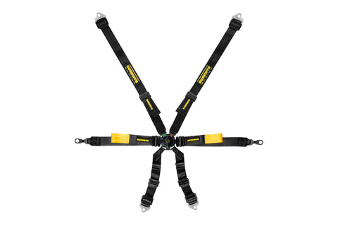 Schroth Porsche GT3 Enduro 6 Point Camlock Racing Harness 2x2H, HANS