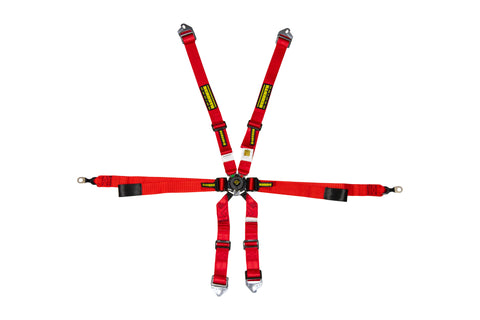 Schroth Porsche GT3 Enduro 6 Point Camlock Racing Harness 2x2H, HANS