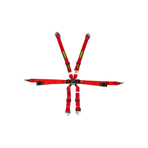 Schroth Porsche GT3 Enduro 6 Point Camlock Racing Harness 2x2H, HANS