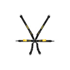 Schroth Porsche GT3 Enduro 6 Point Camlock Racing Harness 2x2H, HANS