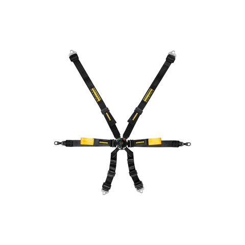 Schroth Porsche GT3 Enduro 6 Point Camlock Racing Harness 2x2H, HANS