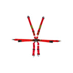 Schroth Porsche GT3 Enduro 6 Point Camlock Racing Harness 2x2H, HANS