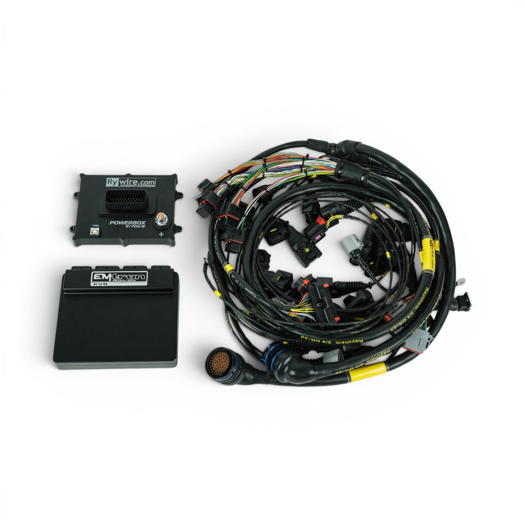 BBI Porsche Air cooled EFI Electronics and Wiring