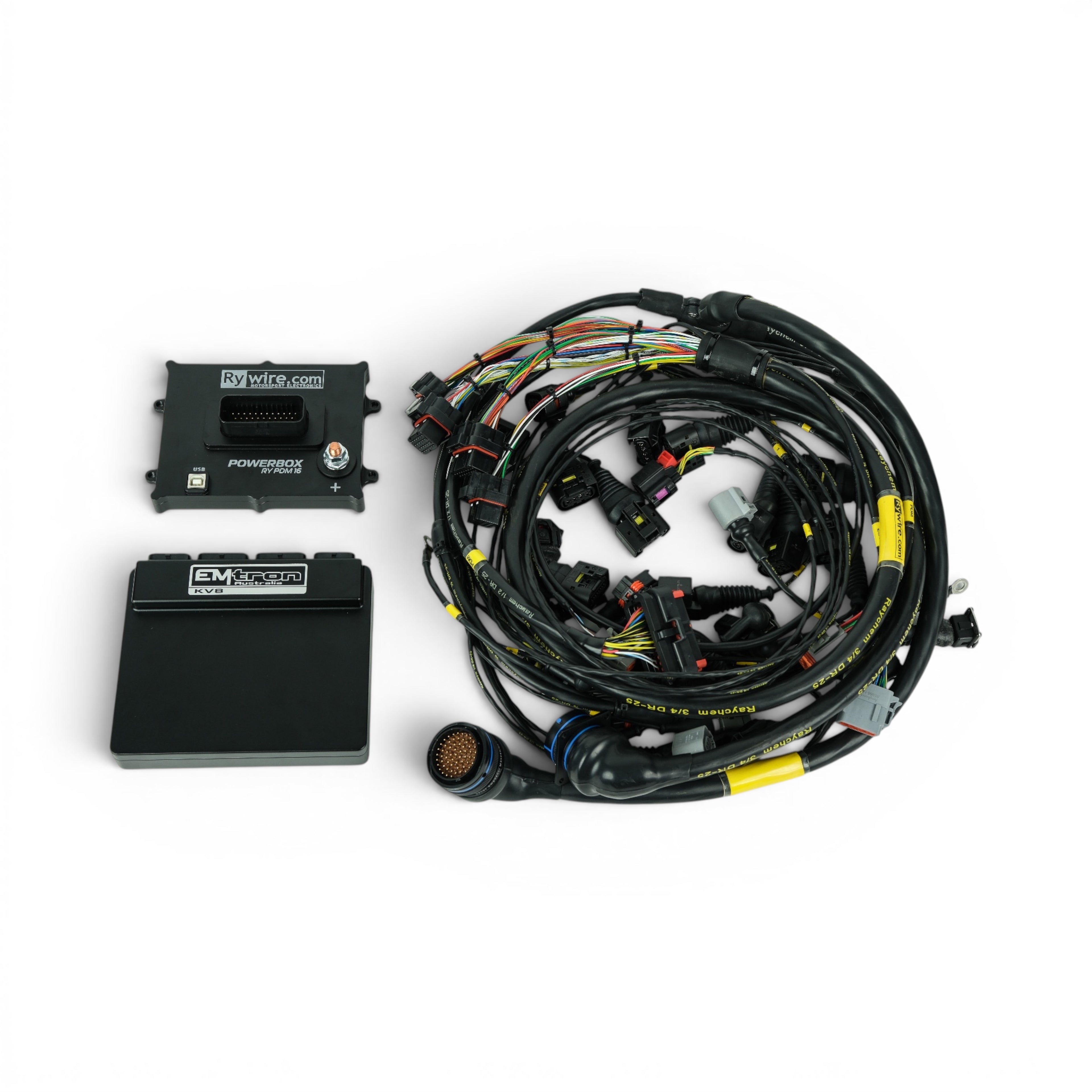 BBI Porsche Air cooled EFI Electronics and Wiring