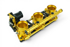 BBI Porsche Air cooled EFI Individual Throttle Body System