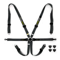 Racetech Pro International 6 Point Lightweight GT Harness (Porsche style)