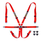 Racetech Pro International 6 Point Lightweight GT Harness (Porsche style)