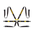 Sabelt Silver Series Porsche GT3/GT2 6 Point Racing Harness